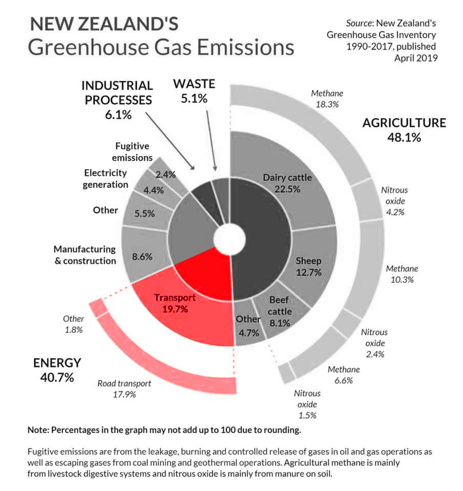 NZ emissions by sector in 2019